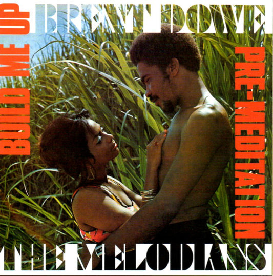 DOWE, BRENT & THE MELODIANS - BUILD ME UP / PRE-MEDITATION (2CD) - CD