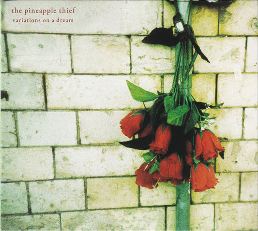 PINEAPPLE THIEF - VARIATIONS ON A DREAM : REMIX/REMASTER - CD