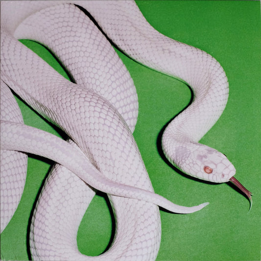 DEFTONES - PRIVATE MUSIC : BLACK VINYL - LP