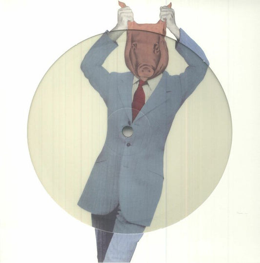 SUEDE - ANIMAL NITRATE : PICTURE DISC - 7