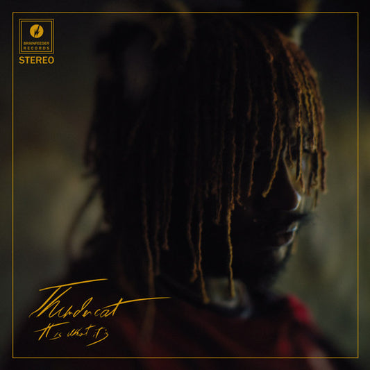 THUNDERCAT - IT IS WHAT IT IS - CD