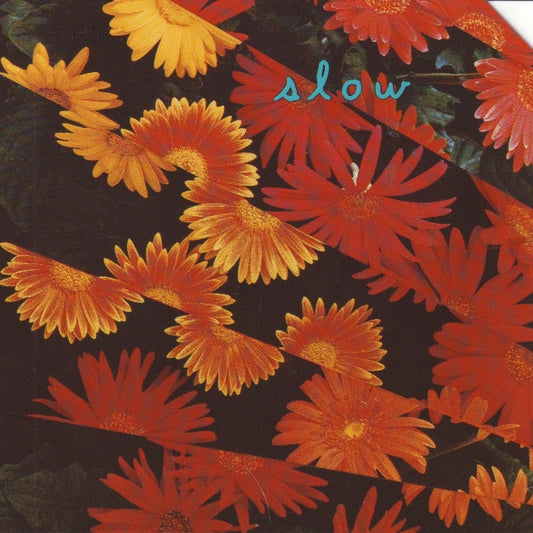 SNEETCHES - SLOW - CD