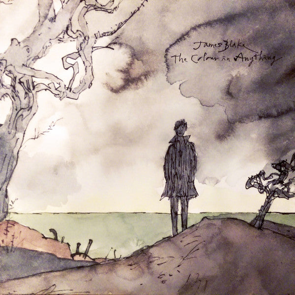 BLAKE, JAMES - COLOUR IN ANYTHING : 2LP SET - LP