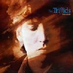 TRIFFIDS - CALENTURE (US PRESS) - LP