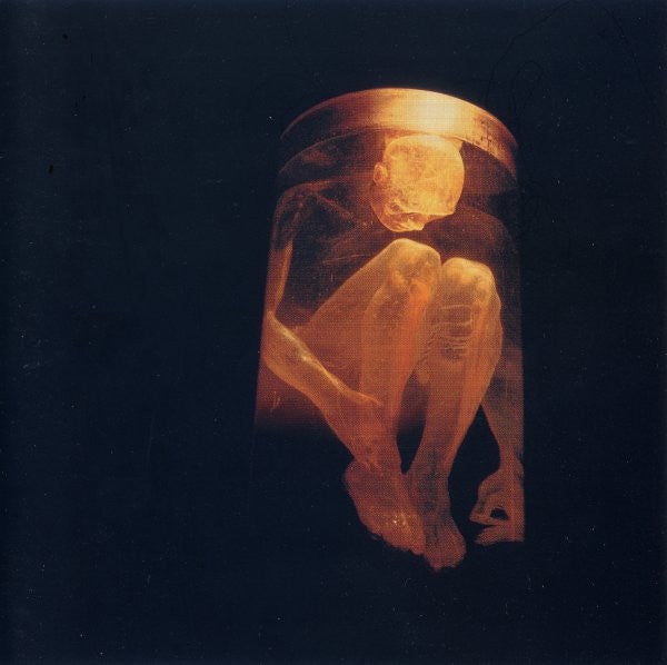 ALICE IN CHAINS - NOTHING SAFE : BEST OF - CD