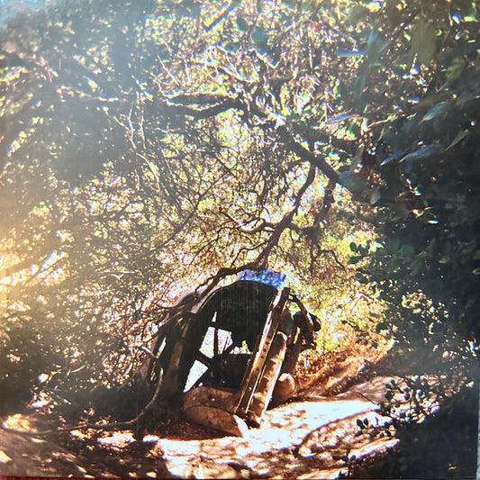 SEGALL, TY - POSSESSION - LP