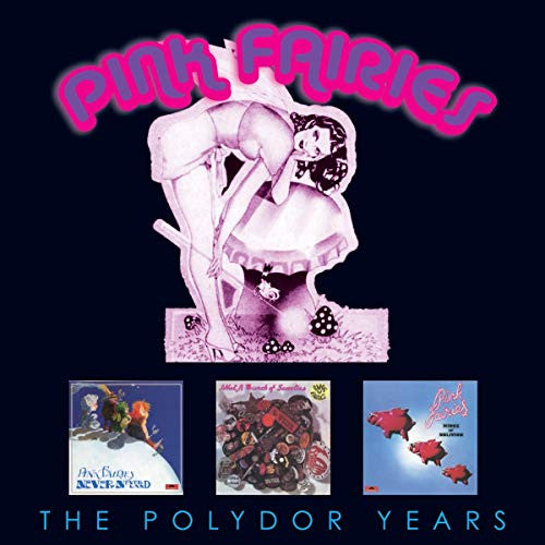 PINK FAIRIES - POLYDOR COLLECTION : 3CD SET - CD
