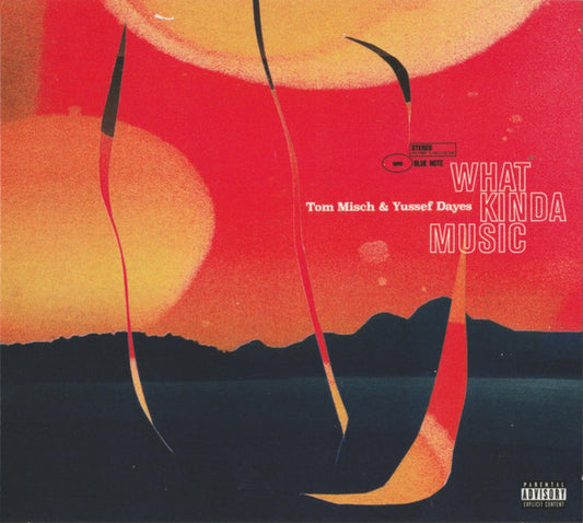 MISCH, TOM / YUSSEF DAYES - WHAT KINDA MUSIC - CD