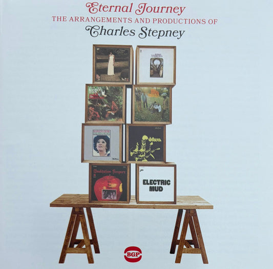 STEPNEY, CHARLES / VARIOUS - ETERNAL JOURNEY: ARRANGEMENTS & PRODUCTI - CD