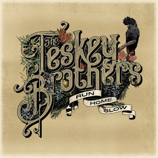 TESKEY BROTHERS - RUN HOME SLOW - CD