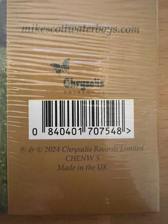 WATERBOYS - FISHERMAN'S BLUES : YELLOW (HALF-SPEED) - LP