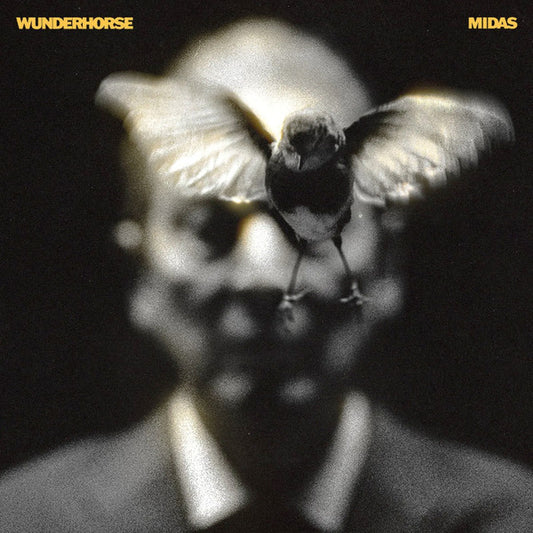 WUNDERHORSE - MIDAS : BLACK VINYL - LP