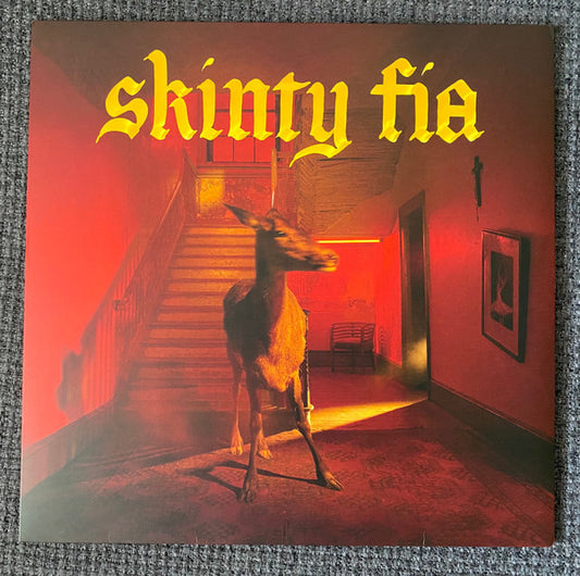 FONTAINES DC - SKINTY FIA - LP