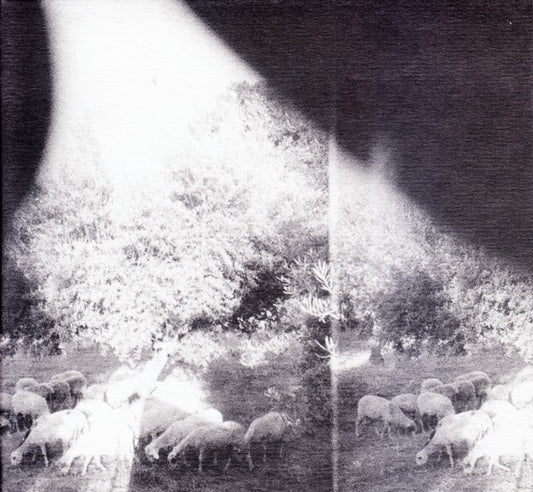 GODSPEED YOU BLACK EMPEROR - ASUNDER SWEET & OTHER DISTRESS - CD