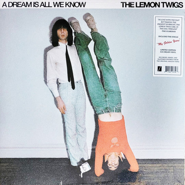 LEMON TWIGS - A DREAM IS ALL WE KNOW : BLACK VINYL - LP