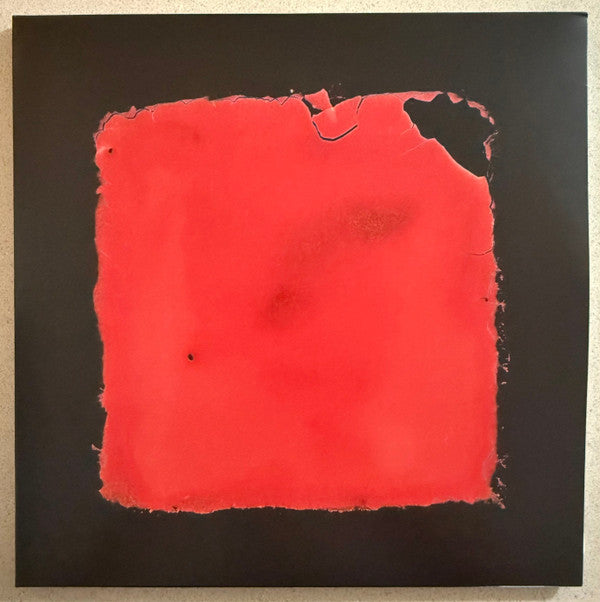 SALVIA PALTH - LAST CHANCE TO SEE - CD