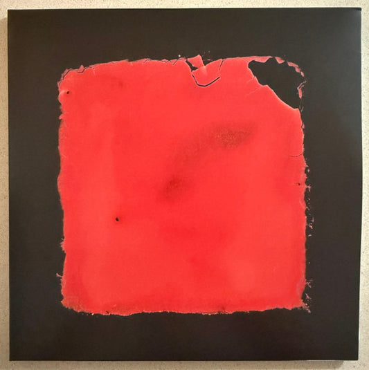 SALVIA PALTH - LAST CHANCE TO SEE - CD