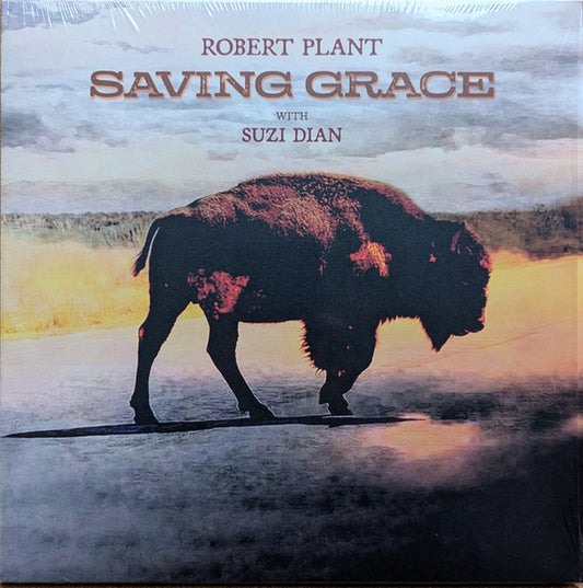 PLANT, ROBERT - SAVING GRACE : BLACK VINYL - LP