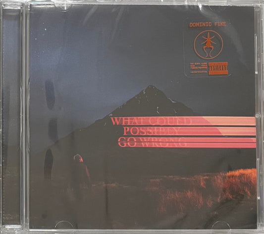 FIKE, DOMINIC - WHAT COULD POSSIBLY GO WRONG - CD