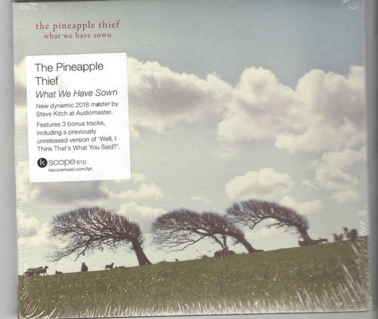 PINEAPPLE THIEF - WHAT WE HAVE SOWN : 3 BONUS TRACKS - CD