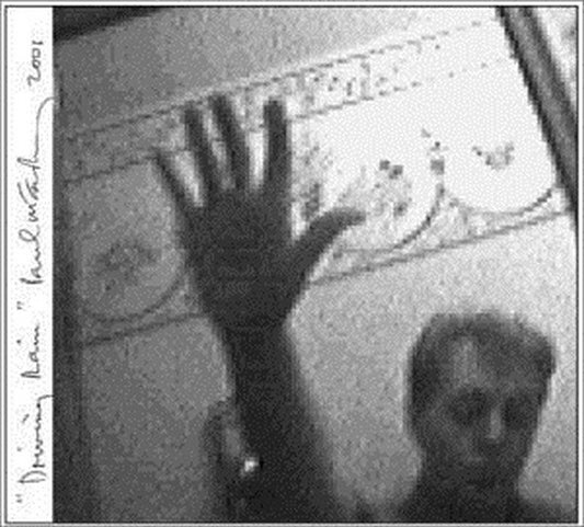 MCCARTNEY, PAUL - DRIVING RAIN - CD