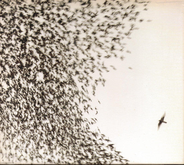 WILCO - SKY BLUE SKY - CD