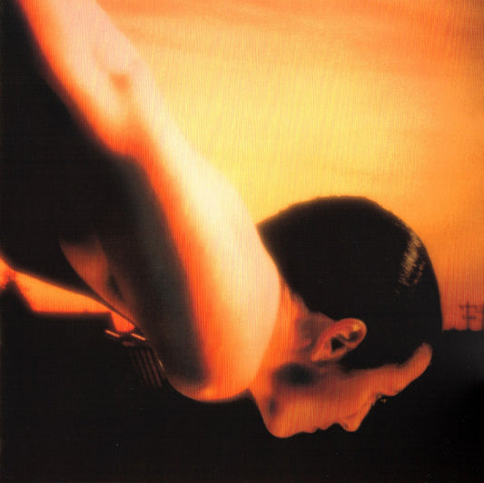 PORCUPINE TREE - ON THE SUNDAY OF LIFE : 2LP SET - LP