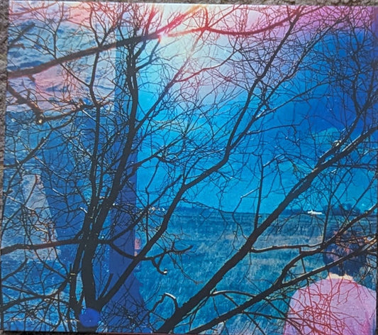 IDLEWILD - IDLEWILD (2025) - CD