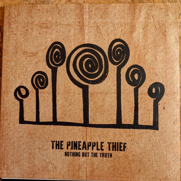 PINEAPPLE THIEF - NOTHING BUT THE TRUTH (2LP) - LP