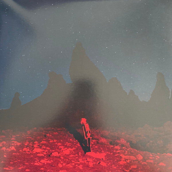 BRIDGERS, PHOEBE - PUNISHER - LP