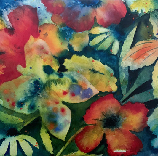 LENKER, ADRIANNE - SONGS & INSTRUMENTALS : 2LP SET - LP