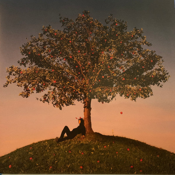 SLOWTHAI - TYRON - LP