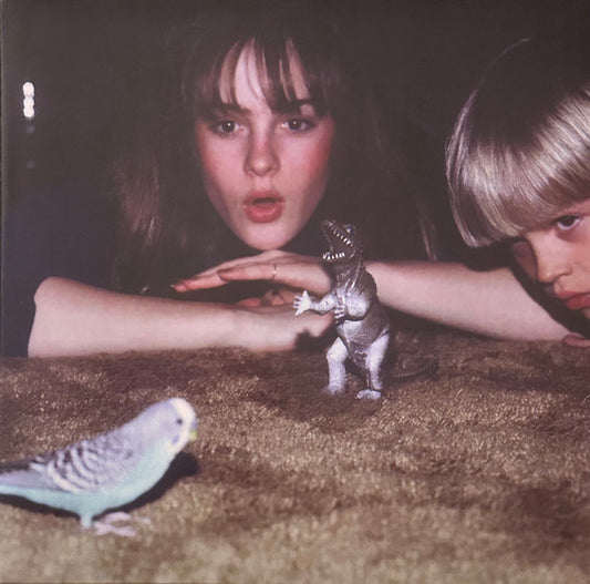 BIG THIEF - MASTERPIECE : ECO-MIX VINYL - LP