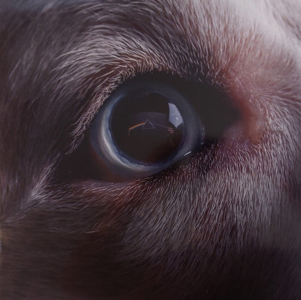 WATERS, ROGER - DARK SIDE OF THE MOON REDUX : BLUE VINYL - LP