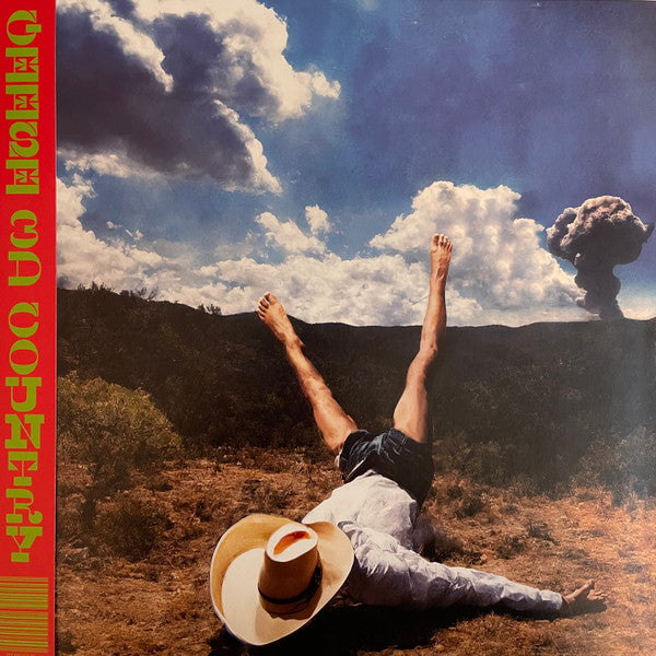 GEESE - 3D COUNTRY - LP