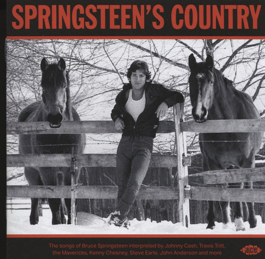 SPRINGSTEEN, BRUCE / VARIOUS - SPRINGSTEEN'S COUNTRY - CD