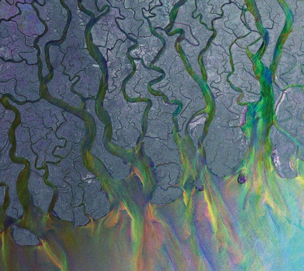 ALT-J - AN AWESOME WAVE - LP