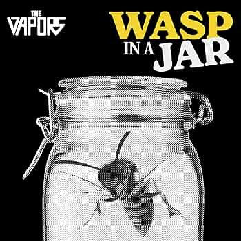 VAPORS - WASP IN A JAR - CD