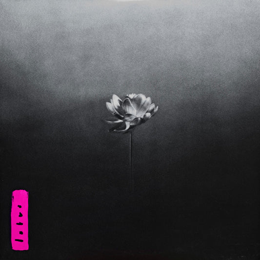 LITTLE SIMZ - LOTUS : BLACK 2LP SET - LP