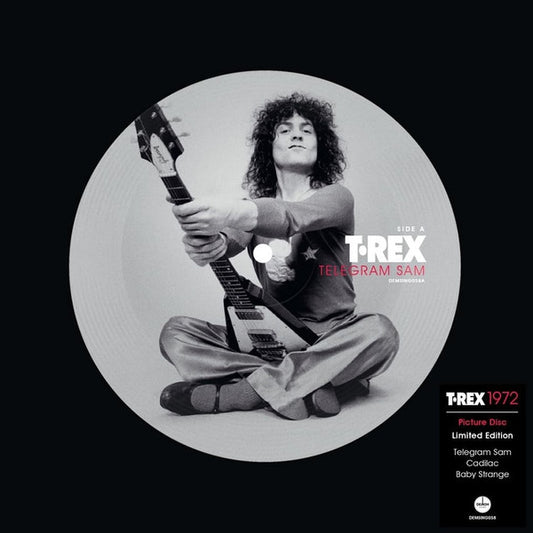 T-REX - TELEGRAM SAM : PICTURE DISC (2024) - 7