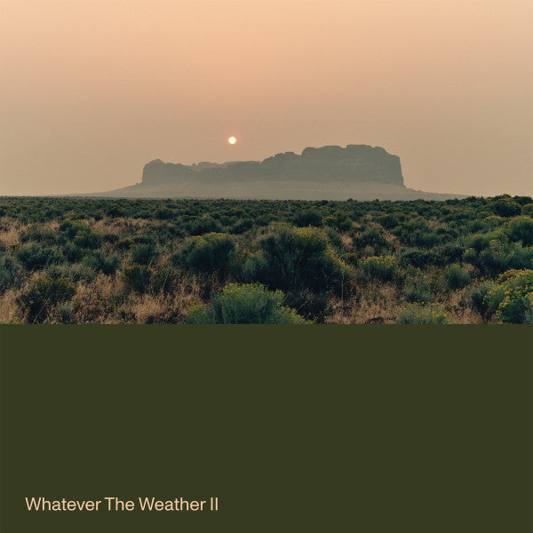 WHATEVER THE WEATHER - WHATEVER THE WEATHER II : DARK GREEN - LP