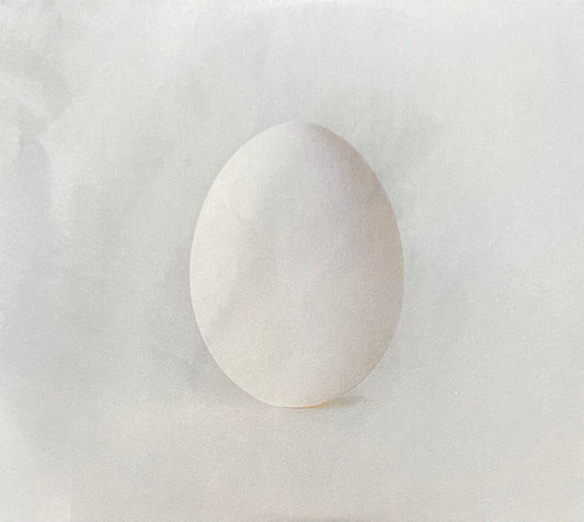 WILCO - GHOST IS BORN : 2CD DELUXE (2025) - CD