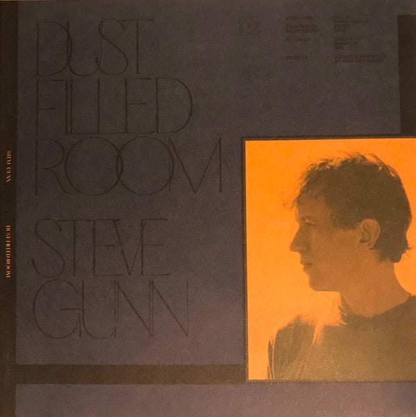 FAY, BILL / STEVE GUNN - DUST FILLED ROOM - 7