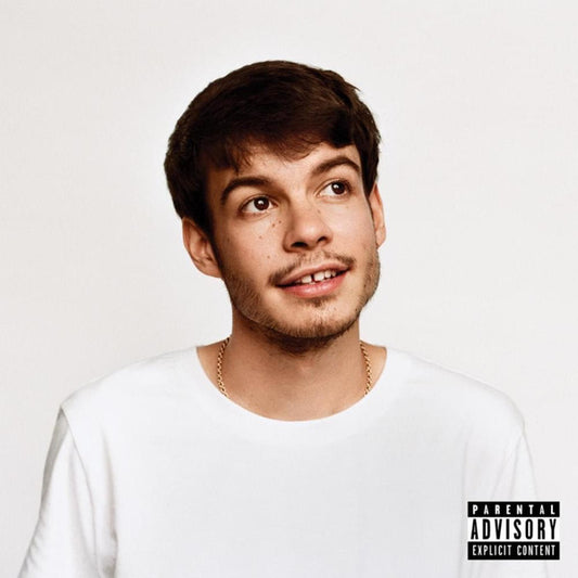 REX ORANGE COUNTY - PONY - LP