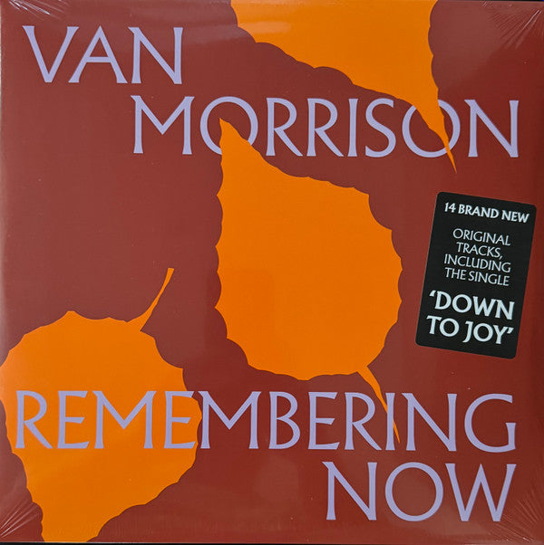 MORRISON, VAN - REMEMBERING NOW : BLACK 2LP SET - LP