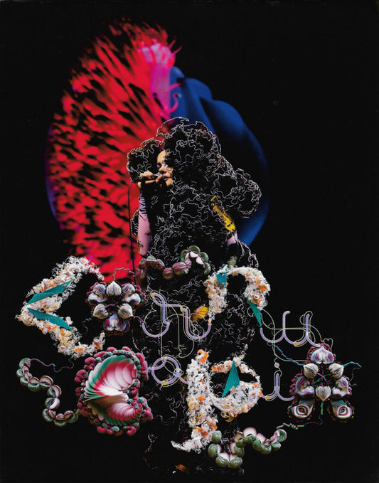 BJORK - CORNUCOPIA : LIVE - BR