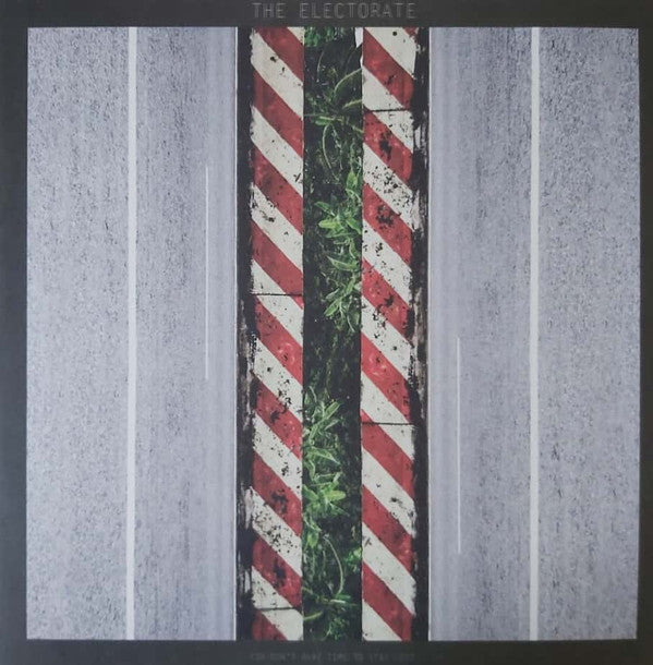 ELECTORATE - YOU DON'T HAVE TIME TO STAY LOST - LP