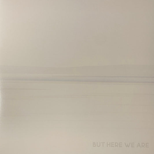 FOO FIGHTERS - BUT HERE WE ARE - LP