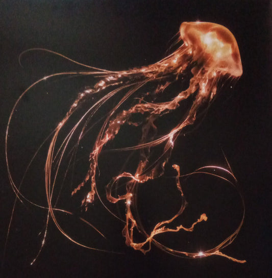 ROYAL BLOOD - BACK TO THE WATER BELOW : CLEAR VINYL - LP