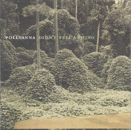 POLLYANNA - DIDNT FEEL A THING - CD